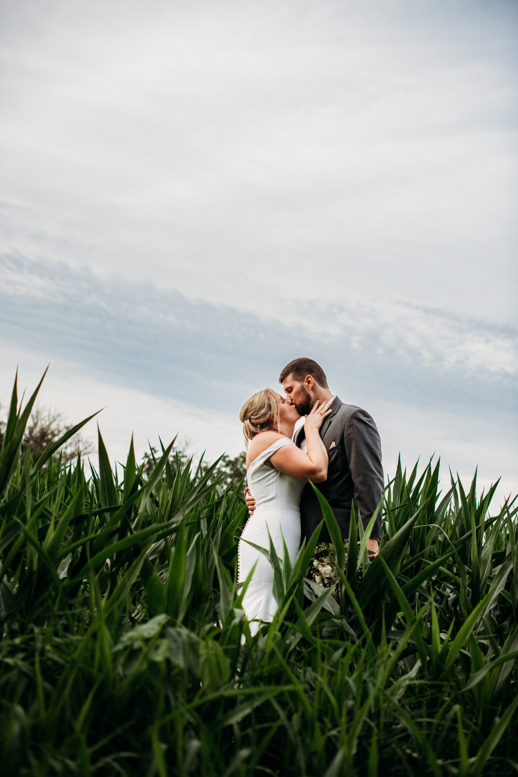 bride and groom kissing in a corn field after Wisconsin Weddings
